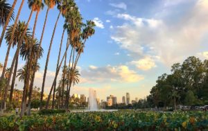 Flores de loto en Echo Park Lake